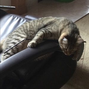 Meet your Posher, Addy